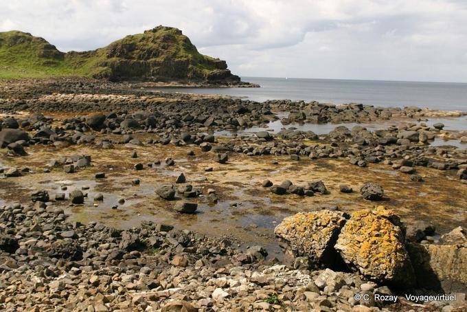 Low tide rock clusters, Giants Causeway - Nothern Ireland