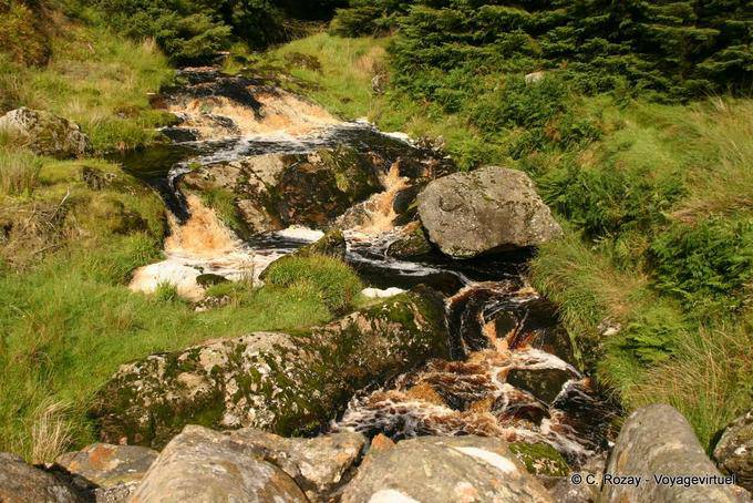 Small stream on Glenaan Road, Antrim Guiness - Nothern Ireland