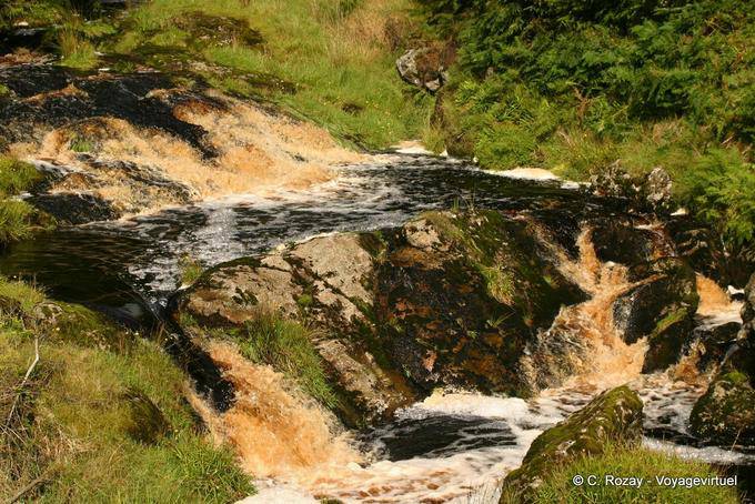Stream water with the color of Guiness, Glens of Antrim - Nothern Ireland
