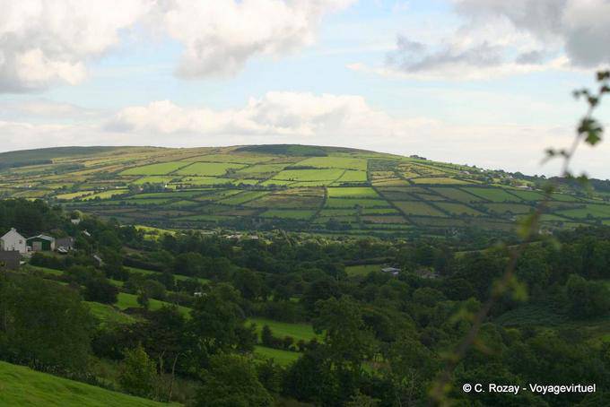 Carved landscape of groves, Antrim - Nothern Ireland