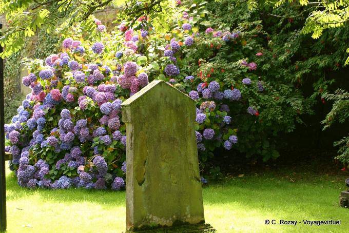 Stele in front of the hydrangeas St Augustines's church, Derry - Nothern Ireland