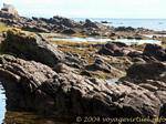 Rocks to Portnagollan House, north of Cushendall, Antrim, Nothern Ireland.