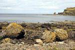 Pile of rocks on the shore, Giants Causeway, Nothern Ireland.