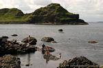 Fraiche swimming, Giants Causeway, Nothern Ireland.