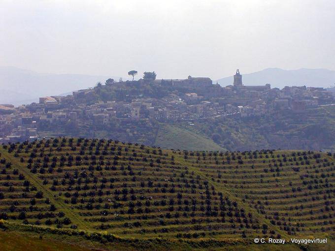 Rustic Sicilian landscape - Italy