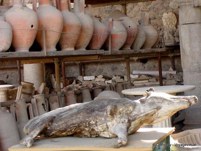A statue dog, Pompeii - Italy