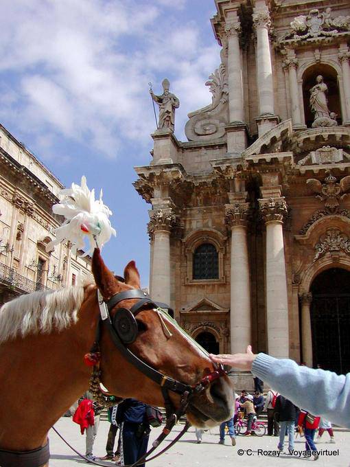 Pat on the horse, Syracuse, Sicily - Italy