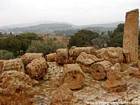 Broken columns of the Temple of Olympian Zeus, valle di Templi, Agrigento, Italy.
