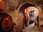 Wine cellar, Montepulciano, Italy.