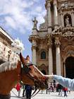 Pat on the horse, Syracuse, Sicily, Italy.