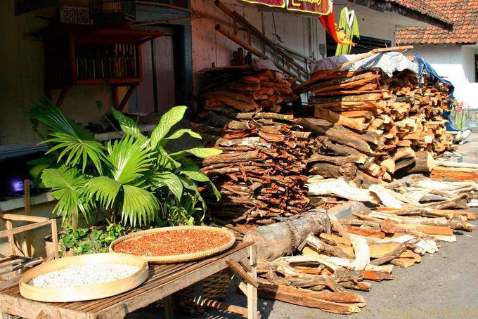 In the timber merchant and bark, Banyuwangi, Java - Indonesia