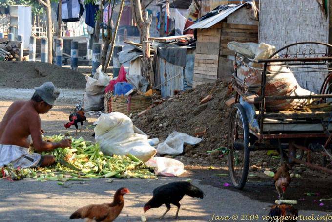 Street Scene, Banyuwangi, Java - Indonesia
