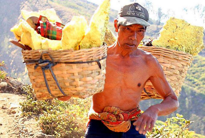 At Ijen, the average life is 40 years, Java - Indonesia