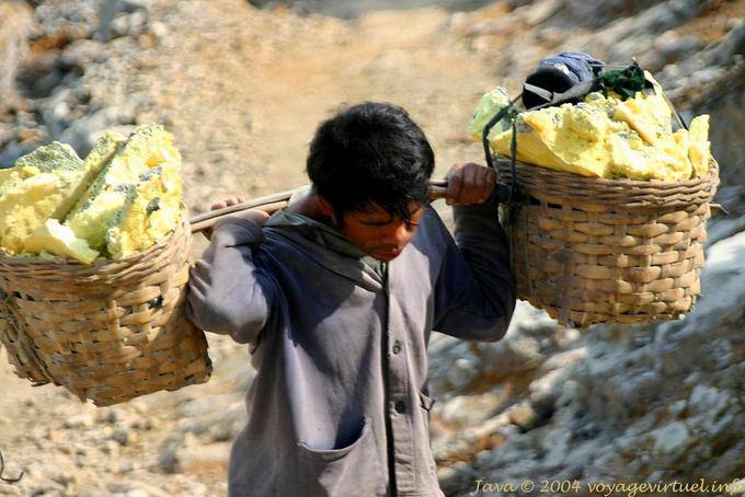 A sulfur carrier, Java - Indonesia
