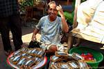 Packed like sardines, fish market, Banyuwangi, Java, Indonesia.