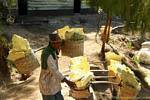 Preparation of weighing Kawa Ijen, Java, Indonesia.