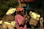 The weighing of sulfur baskets between 50 and 70 pounds, Kawa Ijen, Java, Indonesia.