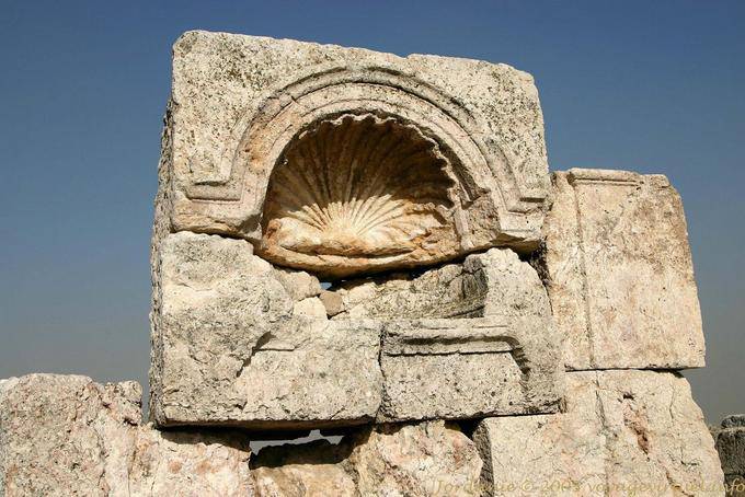 Sculpture clamshell St. Jacques, Old Palace, Amman Citadel, Amman - Jordan