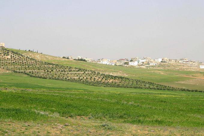 Fertile plateau Kings Road - Jordan