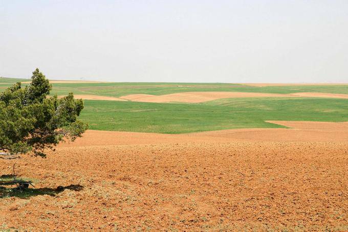 Colors on the Jordanian King's Road, Kings Road - Jordan