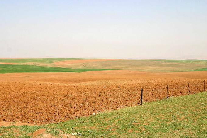 Ground color on the high plateau, Kings Road - Jordan