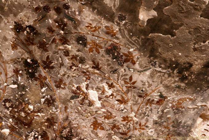 Nabatean paint floral, Siq al-Barid, Little Petra - Jordan