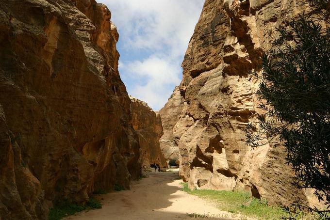 Between the steep walls of the Siq, Al Beidha, Little Petra - Jordan