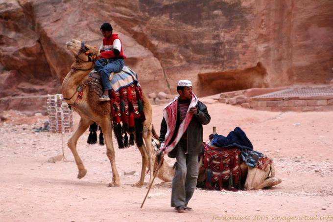 Camel on the square in front of the Khazneh, Petra - Jordan