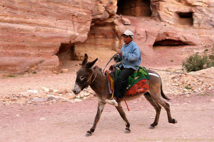 On the donkey Petra Khubta - Jordan