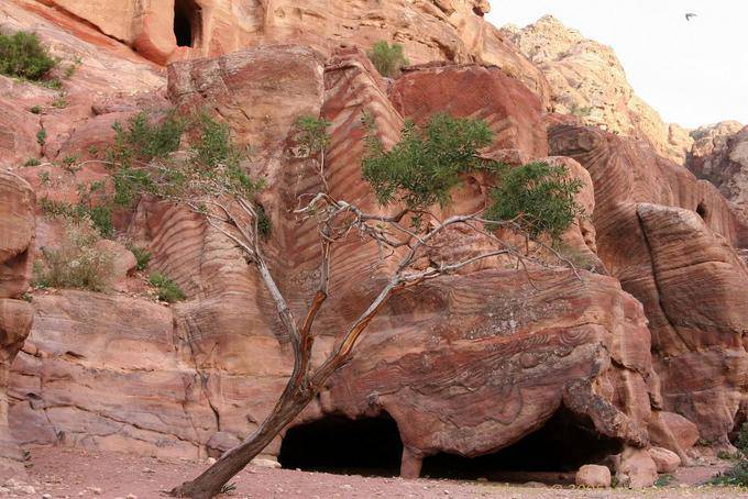 Troglodyte house in the tomb, Petra Khubta - Jordan