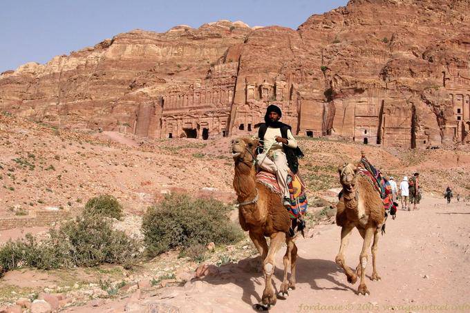 Camel in front of the Royal Tombs, Petra Khubta - Jordan