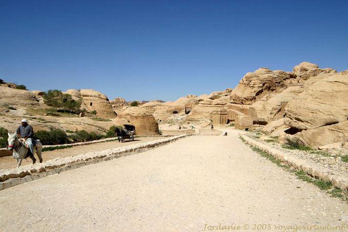The Walk In Petra Siq - Jordan