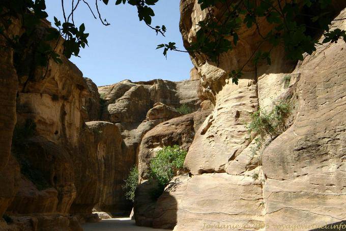 Narrowness of the passage between the walls of the parade Siq, Petra - Jordan