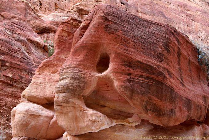 Elephant sandstone in the Siq gorge, Petra - Jordan