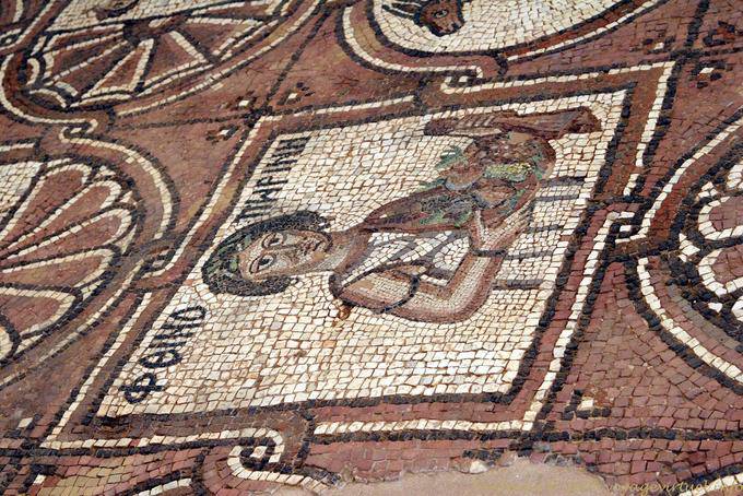 Fruit basket, mosaic of the Byzantine church of Petra - Jordan