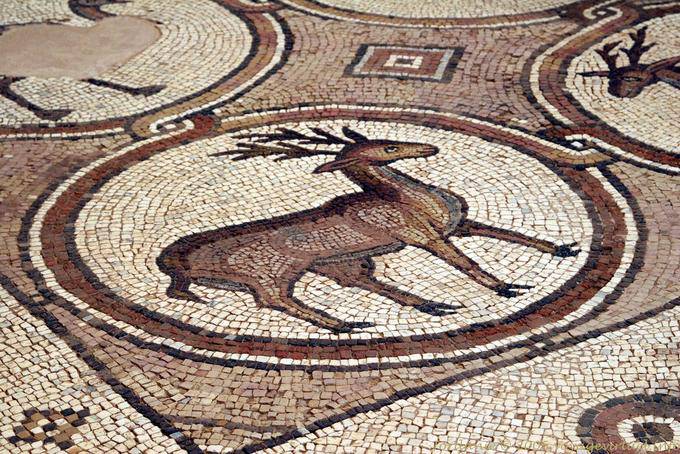 Deer, mosaic of the Byzantine church of Petra - Jordan