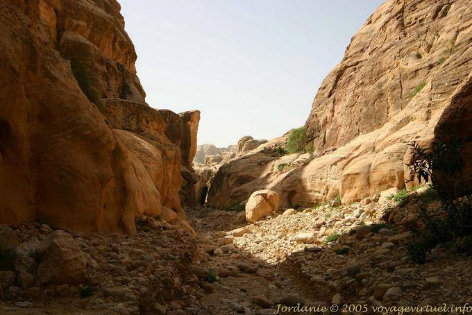 In the gorges of the river, Petra Wadi El Metaha - Jordan