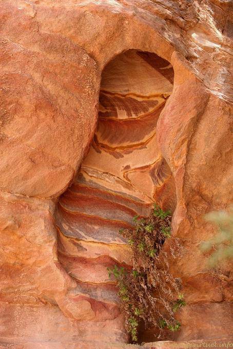 Sandstone Keyhole, Petra Zib Attuf - Jordan