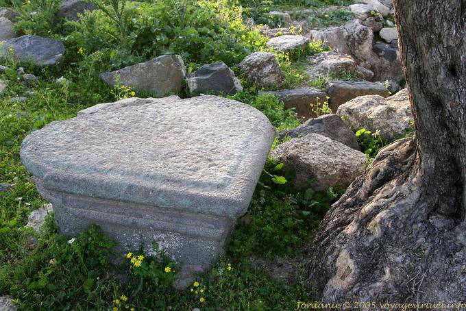Remains at the foot of a tree, Gadara, Umm Qays - Jordan