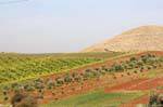 Ajlun, colors in the countryside, Jordan.