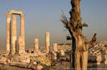 In the ruins of the temple of Heracles at sunset, Amman, Jordan.