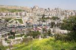 Garden in the heart of Amman, seen from the Amman Citadel, Jordan.