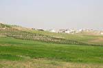Fertile plateau Kings Road, Jordan.