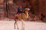 Camel mounted at the foot of the cliff, Petra Khubta, Jordan.