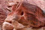 Elephant sandstone in the Siq gorge, Petra, Jordan.