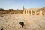 Columns around the temenos of the Great Temple, Petra Lower City, Jordan.