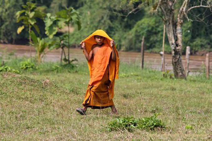 Don Khon, little monk in orange dress, Lao