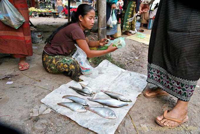 Fresh fish at the market, Khong Island, Lao