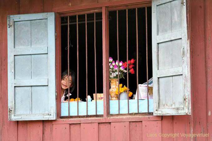 Cuckoo through the window, Khong Island, Lao