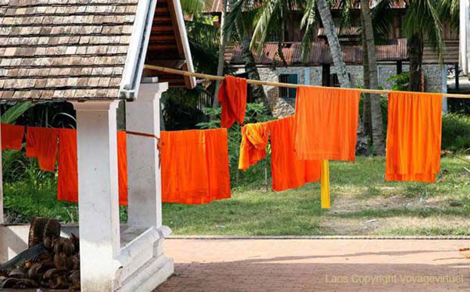 Orange monk, Wat Sene Soukharam, Luang Prabang, Lao